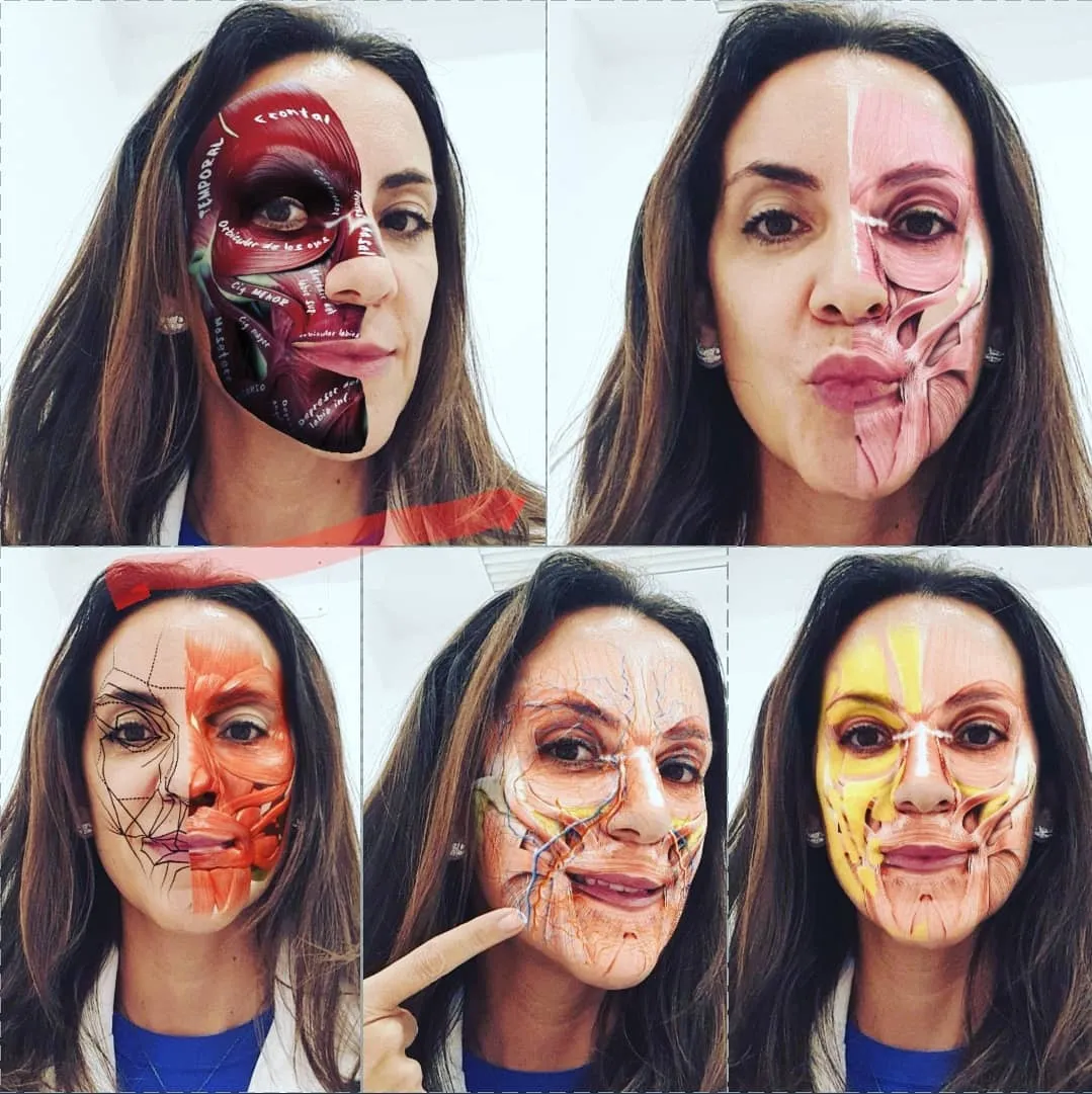 Layers of facial anatomy